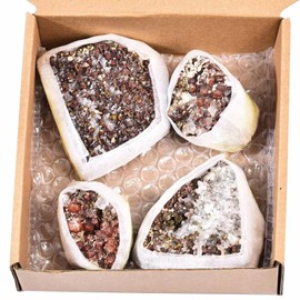 VIZYTOU Natural Chalcopyrite Rock Specimens Symbiosis Red Crystal Quartz Rough Mineral Stone Collection Crystal Gifts 1.0 Pound