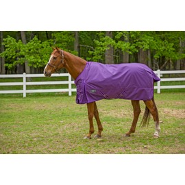TuffRider 1680 D Super Comfy Winter Turnout Blanket Medium Weight 200 GSM Standard Neck- Purple- 72