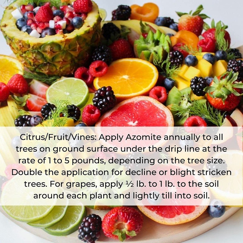 Azomite Micronized Trace Mineral Powder (5 Pounds)