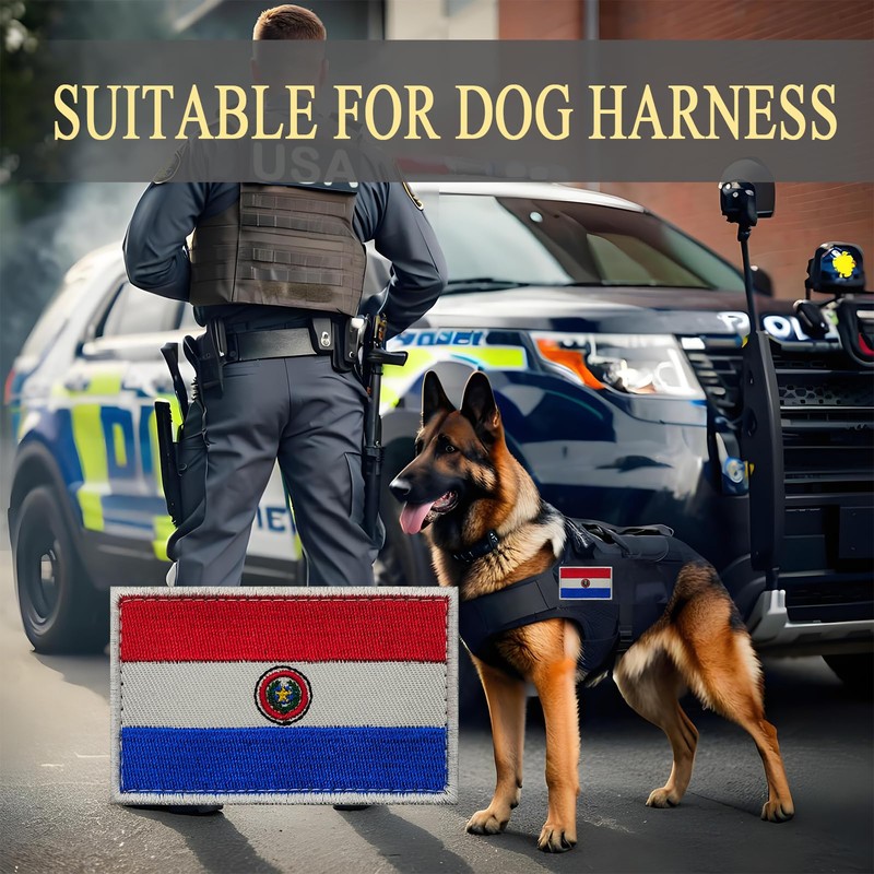 2PCS Americas Paraguay Flag Patch Embroidered Morale Patch Military Tactical