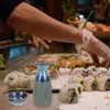 HEMOTON Sake Service Giapponese Sake Pot E 4 Tazze in