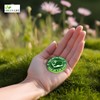 GreenLife Golf Marker, Fluorescent, Easy to See on Cloudy or