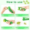 Grape Cutter, ABS Grape Slicer Toddlers Fruit Slicer Gadget Cutter