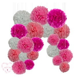 Pack of 20 Mixed Colours Pink Tissue Paper Pom Poms Wedding Birthday Party Hanging Garland Decorations (Pink Set)