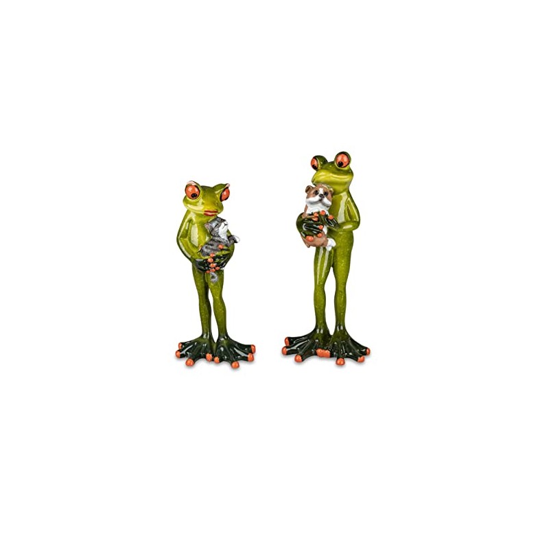 formano Beautiful pair of frogs with pets, animal lovers, frog