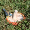 Fachhandel Plus Bird Bath Made of Polyresin in Mushroom Shape,