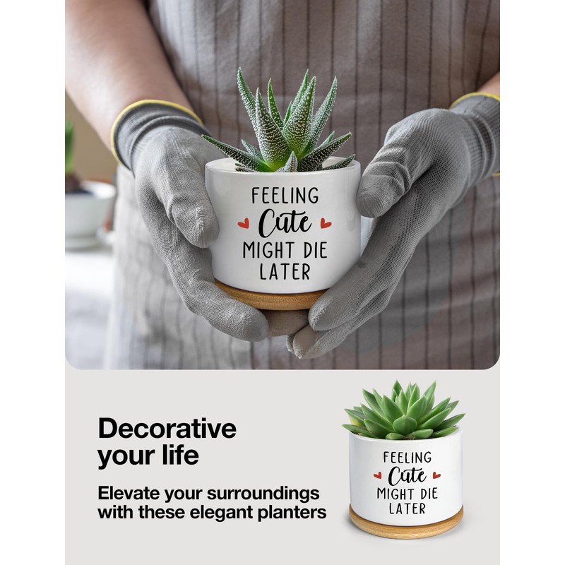 PWHINGN Feeling Cute Might Die Later Pot- Ceramic Engraved Succulent