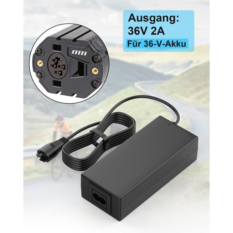 POANES 36V 2A 42V 2A Charger for Bosch Active/Performance Line