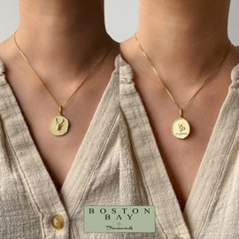 Boston Bay Diamonds Reversible Double Sided Freeform Round Diamond Capricorn Zodiac Astrology Pendant Necklace in 14K Yellow Gold Plated Sterling Silver with 18 Inch Box Chain