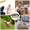 Paiaite Dog Pajamas Onesie: Comfortable Four-Legged Apparel for Small, Medium,