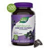 Elderberry 50 Mg Sambucus Soporte Inmune 120 Gomitas Sabor S/n
