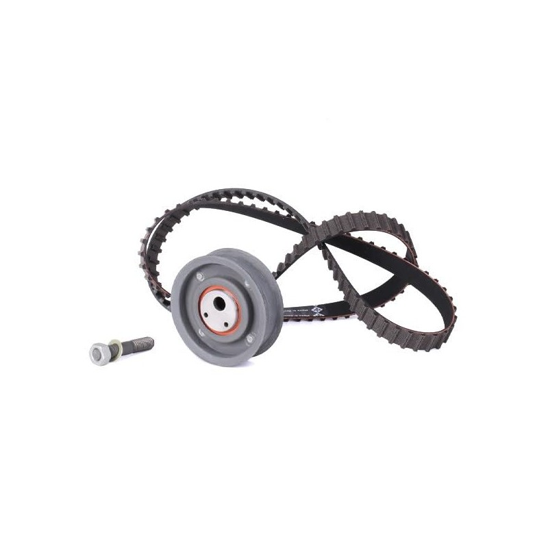 INA 530 0149 10 Timing Belt Set