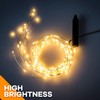 Twinkle Club 10 Strands 200 LED Firefly Bunch Lights, Waterproof,