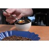 Rhinowares RWSPN-01 Stainless Steel Teaspoon, 4