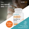 SANE MD PRO60+ DeepNerve Renew