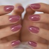 Coolnail Designed False Nail Full Cover Fake Nails Oval Ellipse