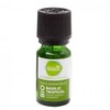파마사이언스 유기농 트로피컬 바질 에센셜 오일 5ml PharmaScience Organic Tropical Basil Essential Oil 5ml