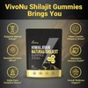 VivoNU Himalayan Shilajit Gummies | With Ashwagandha, Gokshura & other