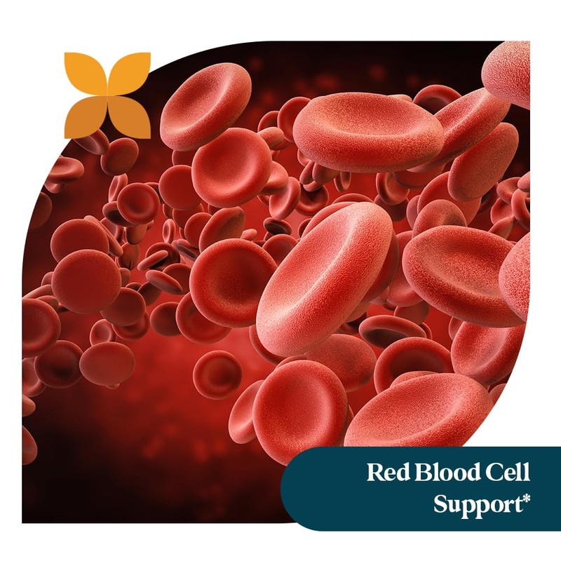 Pattern Wellness Vitamin B Complex – Complete B Vitamins with