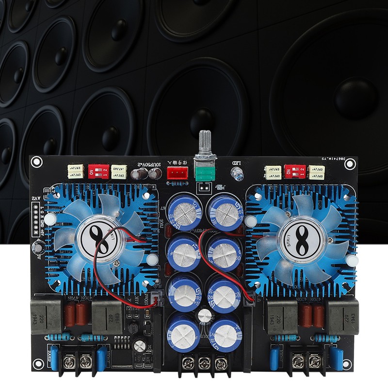Digital Power Amplifier Board Superpower Dual Core Audio Subwoofer Biult