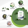 fairvital Glycine Capsules 500 mg, 120 Capsules, Swallow-Friendly, High Dose,