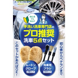 Garacoat Car Wash Sponge Shearling Glove 100% Natural Wool Detail Brush [Set of 5]