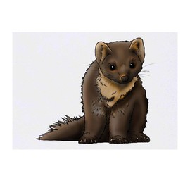 Azeeda 'Baummarder' Temporäres Tattoo - Hautfreundlicher & Ungiftiger Abziehbild · Wasserfest (TO00040800)