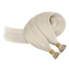 Sunny Hair I Tip Hair Extensions 50G Itips Human Hair