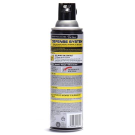 Raid Wasp Hornet Killer Spray (14 Ounce (Pack of 1)
