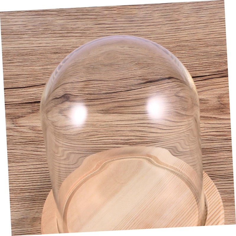 CHILDWEET 9x12cm Flower Glass Cover Glass Dome on Wooden Stand
