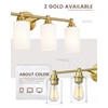 FEMILA Vanity Lights for Bathroom, Modern 4-Light Gold Bathroom Light