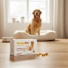 Omegatrix Suplemento Nutricional Perro Caps Omegas 3y6