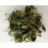 Organic Gotu Kola (Centella asiatica/Hydrocotyle) Dried Herb (100g)