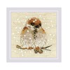 RIOLIS - Passero 1680, Punto croce 10x10cm, Punto croce kit