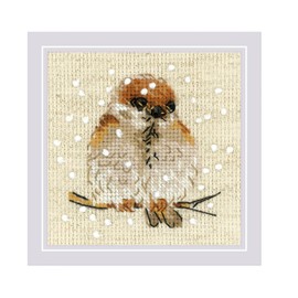 RIOLIS - Passero 1680, Punto croce 10x10cm, Punto croce kit da ricamare, Disegni da ricamare, Embroidery kit, Set punto croce, Kit ricamo punto croce