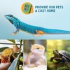 INKPET Reptile Thermometer Hygrometer Thermostat, with Max/min Record High-Accuracy Digial