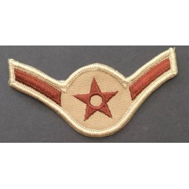 USAF AIRMAN Amn E- 2 DCU DESERT 4” Rank Patch Air Force Embroidered Military