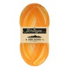Scheepjes Arcadia Tones Yarn 100g 705 Outback Orange Wool and