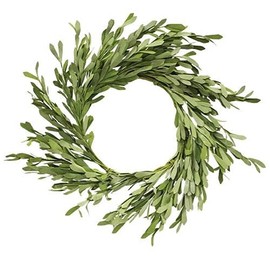 CWI Gifts Leaves Twig Wreath Rings - 24 inch - Wreath Decor for Front Door and Candle Decorating - Willow Leaves