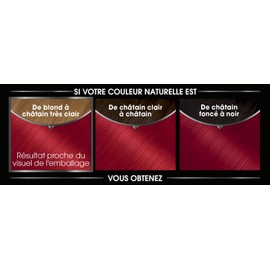 Garnier Olia - Permanent Oil Paint, No Ammonia