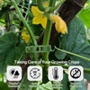 100 Pcs Plant Support Clips, Secure Plastic Plant Clips for