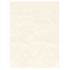 A-ONE SB441 A-one's View Gentle Protection Non-Woven Storage Bags, Small