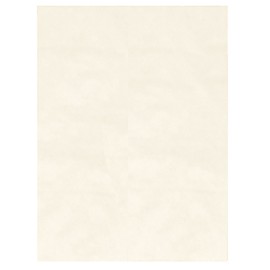 A-ONE SB441 A-one's View Gentle Protection Non-Woven Storage Bags, Small Size (Pack of 10)