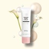 Rebloom Blanc Tone-Up Lotion Triple Functional Cosmetics / 리블룸 블랑