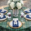 HunnmingRe 6 Pcs Green Blue Tartan Plaid Baby Shower Party