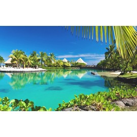 Painting Wallpaper Poster (Removable Self-stick) Tropical Resort Palm Trees Swimming Pool Vacation Healing Character Black MRST – 003 W2 (Wide Version 603 mm × 376 mm) For Architectural Wallpaper + Weather Resistant Paint