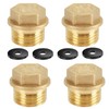 Blanking Plugs, 3/4 Inch, Pack of 4 Male Thread Sealing