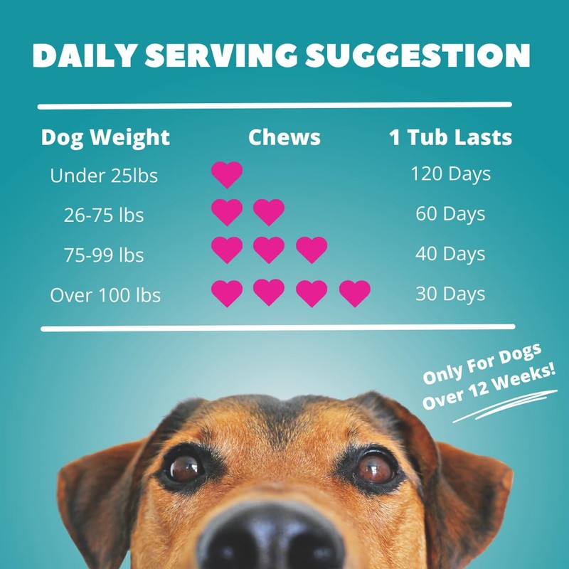 Funky Dawg Premium dog probiotic supplement chews, gut health &