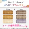 Lucido-L Inner Color Treatment #Cool Ash Hair Color Treatment Ash