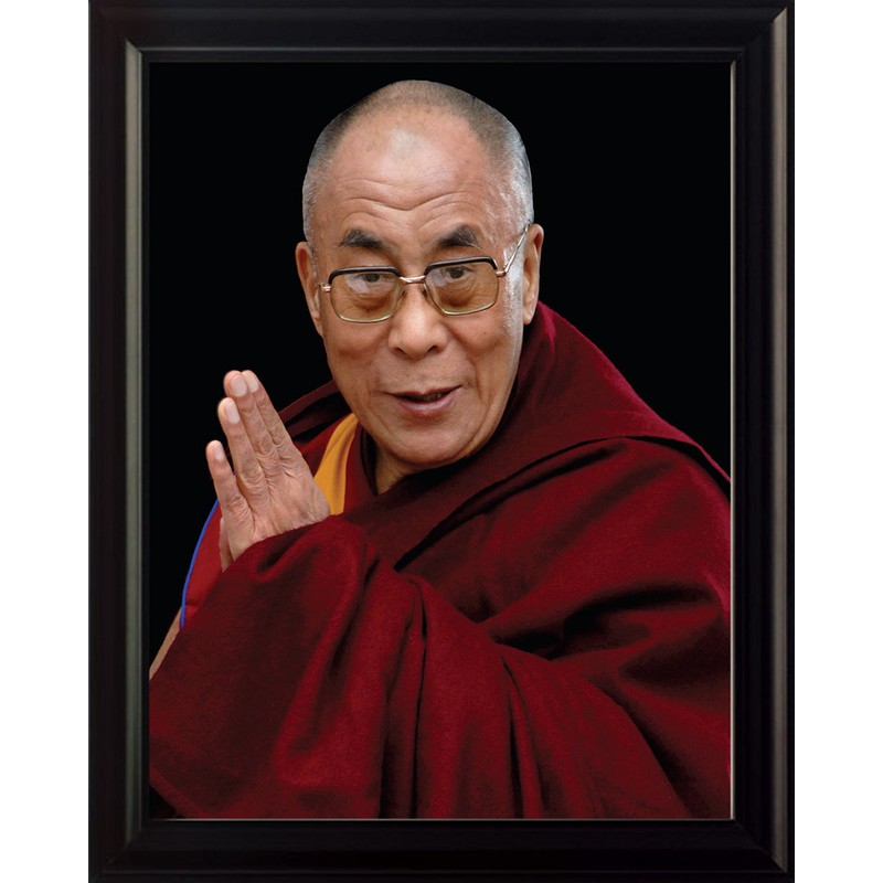 wesellphotos Dalai Lama 8x10 Framed Photo